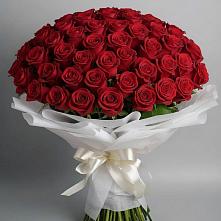 Букет 101 Красная роза Блэк Мэджик в Митькино