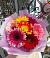 Букет цветов из: Герберы в Митькино