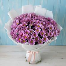 Букет цветов из:  Хризантемы в Митькино
