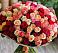 Букет 101 Разноцветная роза в Митькино