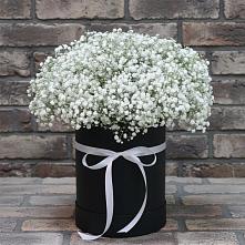 Цветочная композиция из Гипсофила в шляпной коробке в Митькино