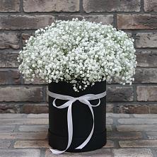 Цветочная композиция из Гипсофила в шляпной коробке в Митькино