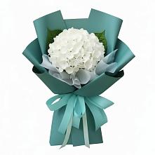 Букет цветов из:  Гортензия в Митькино